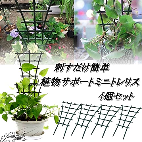 植物サポートフレーム 2