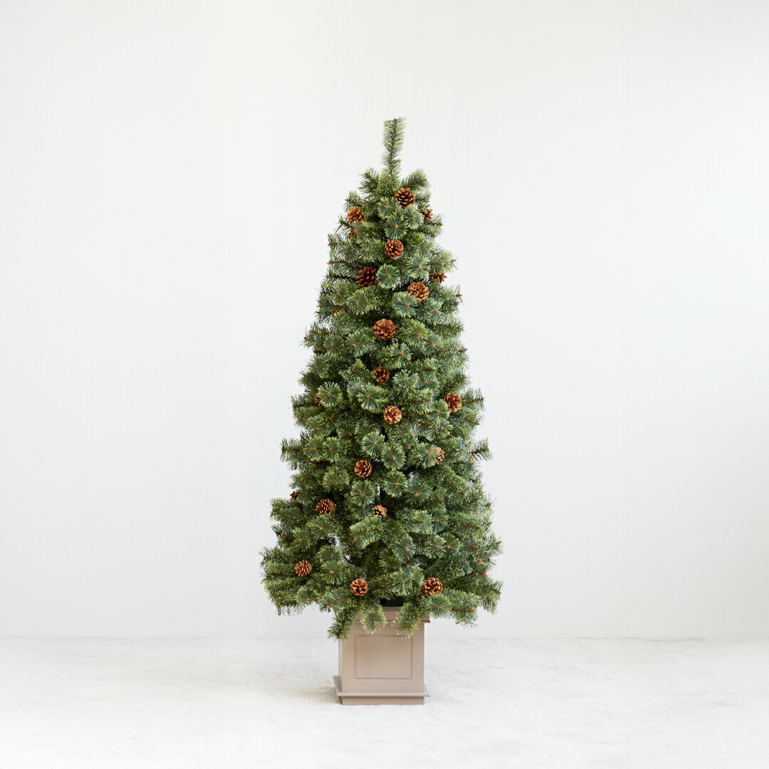 クリスマスツリー 1