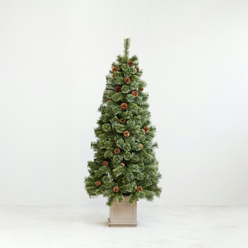 クリスマスツリー 1