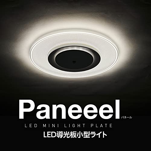 Paneeel 2