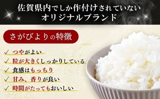 さがびより 4
