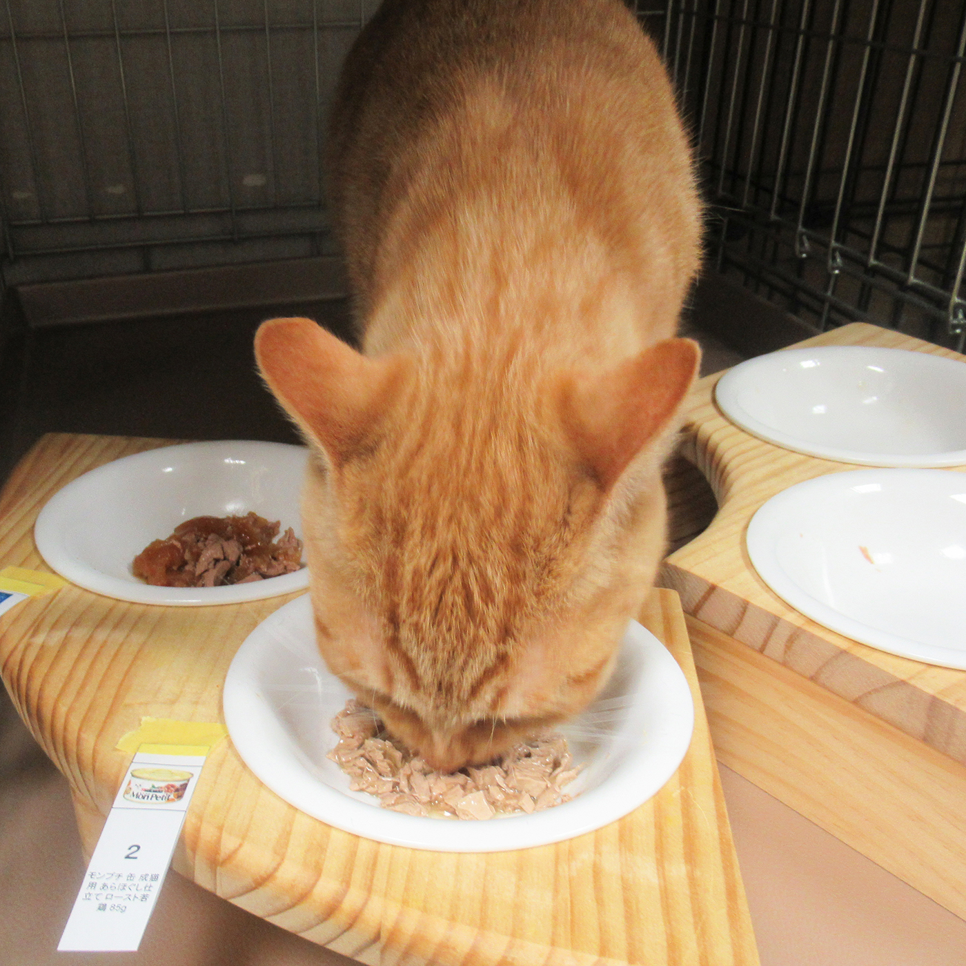 モンプチ 缶 あらほぐし仕立て ロースト若鶏をレビュー！口コミ・評判