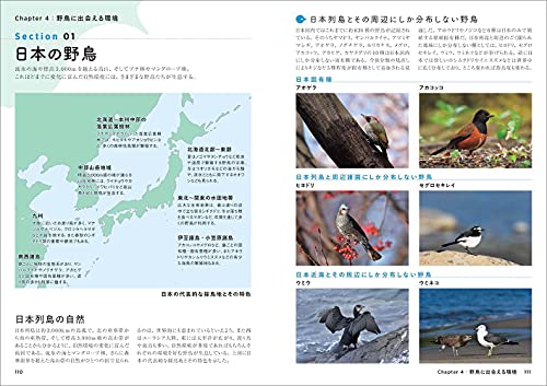 野鳥写真の教科書 5