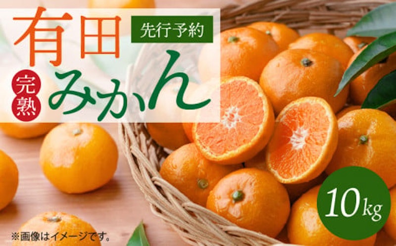 完熟 有田みかん 1