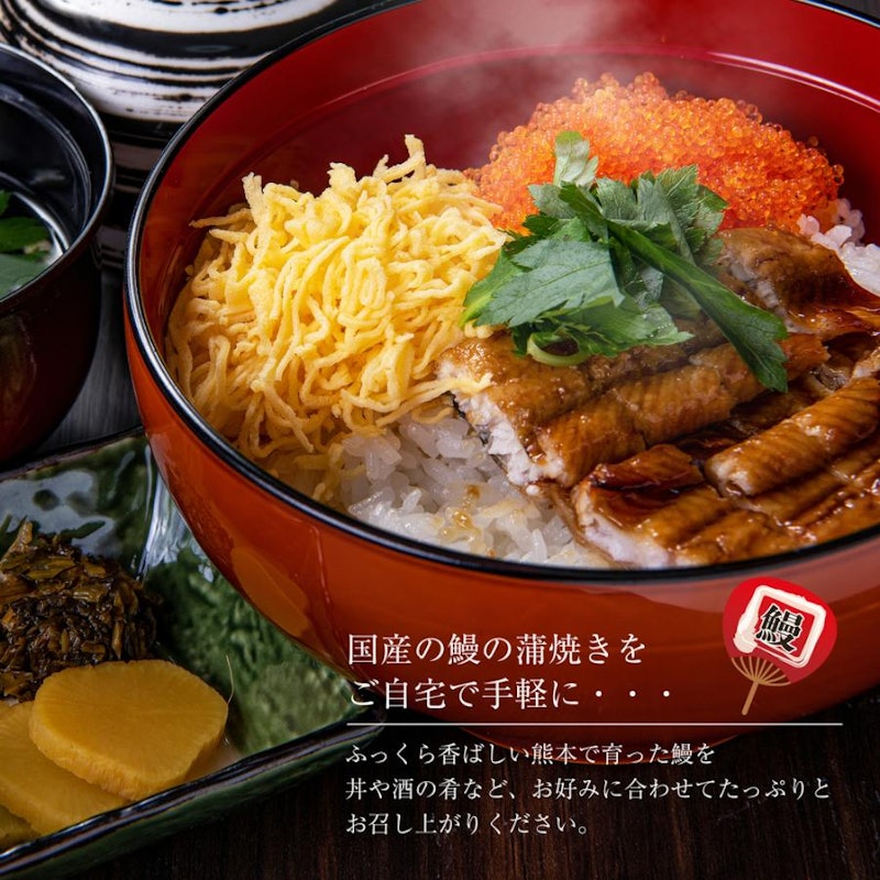 うなぎ蒲焼き 5