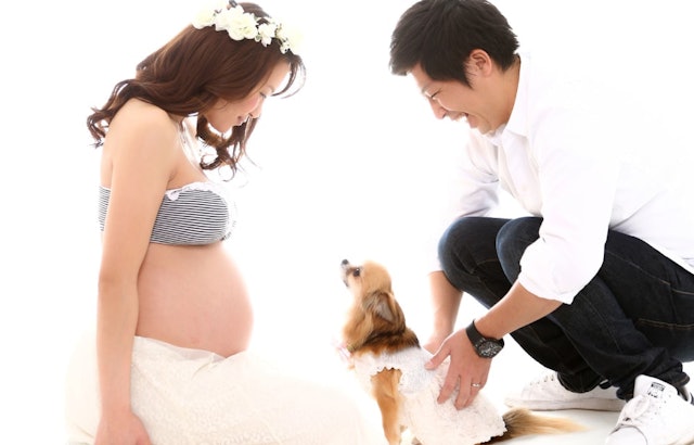 21年 東京都内のマタニティフォトスタジオのおすすめ人気ランキング10選 Mybest 21年 東京都内のマタニティフォトスタジオのおすすめ人気ランキング10選 Mybest