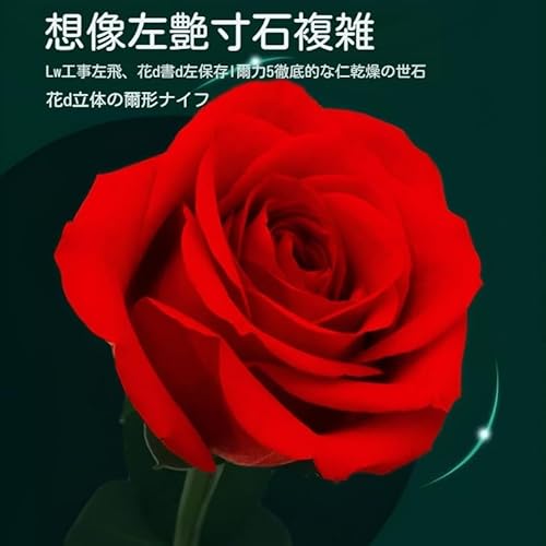 プリザーブドフラワー 4