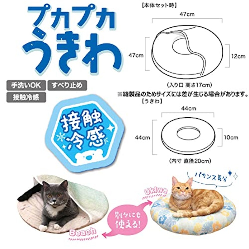 ひんにゃりSUMMER 4