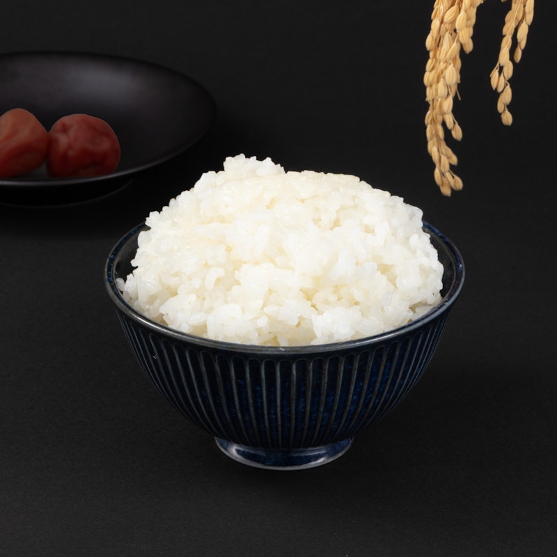 マイコン炊飯ジャー 3
