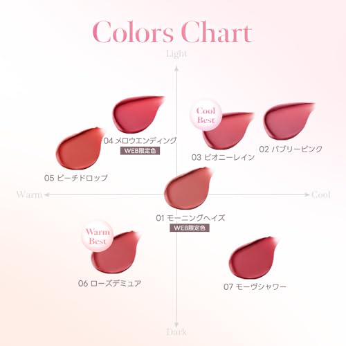 デューステインシアーリップグロス 5