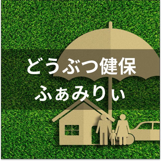犬のペット保険のおすすめ人気ランキング18選 徹底比較22年6月 Mybest