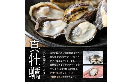 真ガキ 大入島オイスター 2
