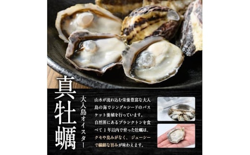 真ガキ 大入島オイスター 2