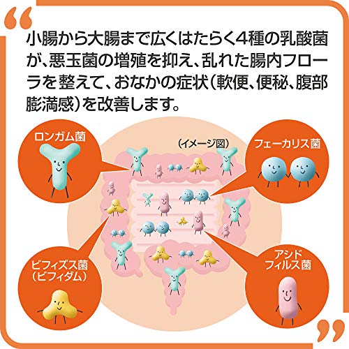 2067円 【メーカー再生品】 新ビオフェルミンS錠 540錠 ×3個セット 指定医薬部外品 ビオフェルミン 大正製薬 整腸剤 乳酸菌 ビフィズス菌配合 腸内フローラ改善 便秘や軟便に 2067円 【メーカー再生品】 新ビオフェルミンS錠 540錠 ×3個セット 指定医薬部外品 ビオフェルミン 大正製薬 整腸剤 乳酸菌 ビフィズス菌配合 腸内フローラ改善 便秘や軟便に