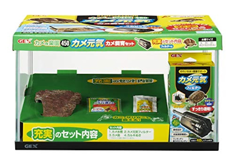 カメの楽園450 1