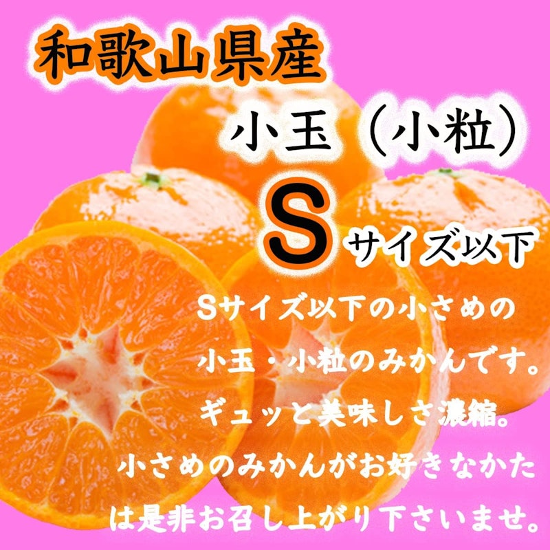 有田みかん 小粒 2