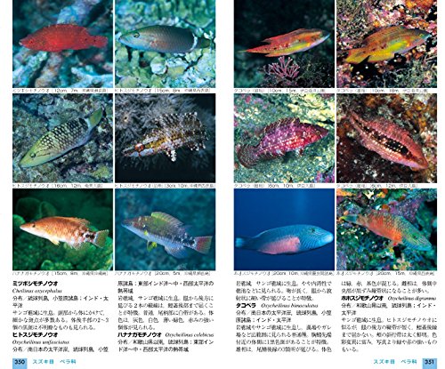 山溪ハンディ図鑑 改訂版 日本の海水魚 2