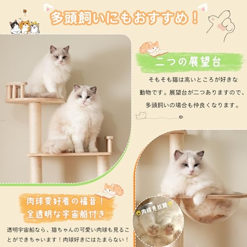 キャットタワー 4