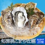 冷凍牡蠣のおすすめ人気ランキング【2026年6月】 1