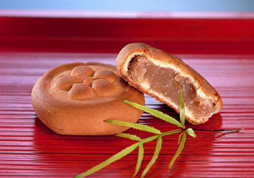 伊豆乃踊子 1