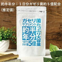 ガセリ菌サプリメント  1