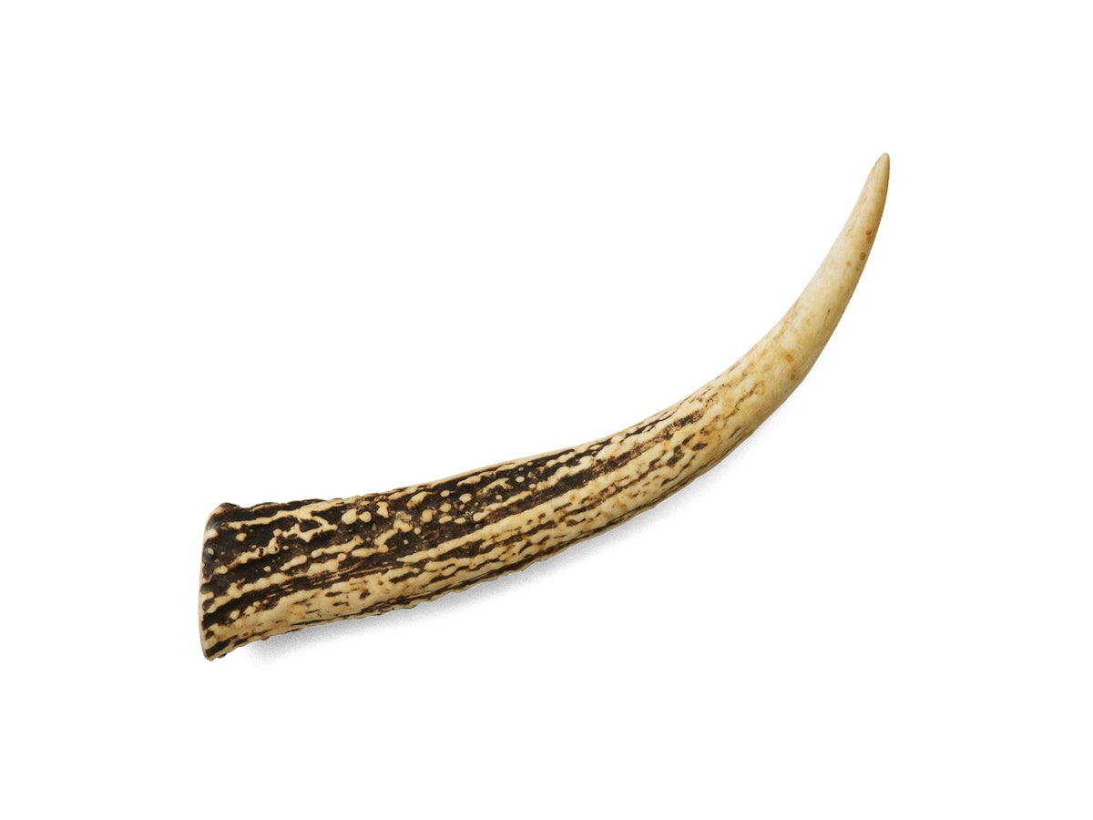 イチカワクリーニング 鹿の角を全15商品と比較 口コミや評判を実際に使ってレビューしました Mybest イチカワクリーニング 鹿の角を全15商品と比較 口コミや評判を実際に使ってレビューしました Mybest