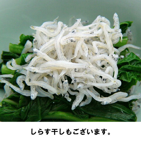 釜揚げしらす 7