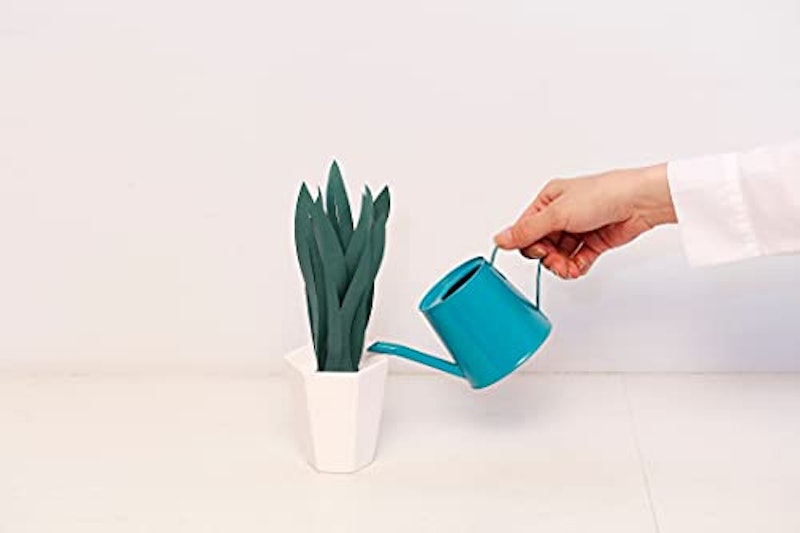 ミスティプランツ 2