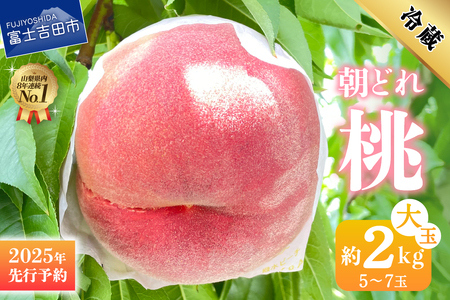 山梨の朝どれ桃 1
