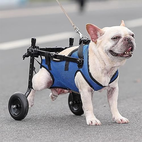 犬用車椅子のおすすめ人気ランキング27選【2024年】 | mybest