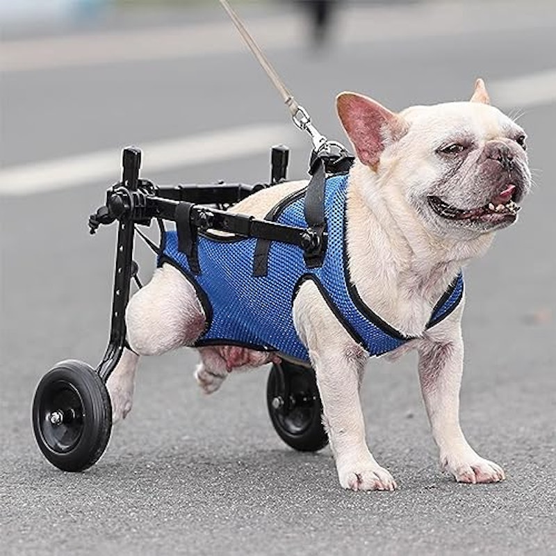 車輪付き小型犬用カート 2