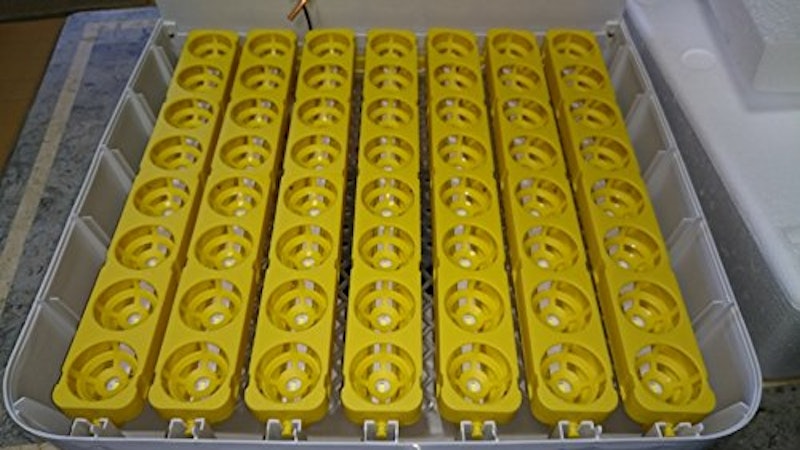 marum マイコン式鳥類専用自動転卵式 孵化器 5