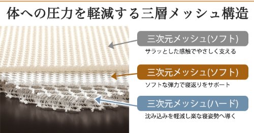 勝野式 医学博士の三層構造マット 2