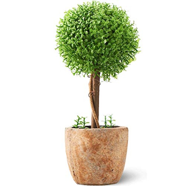 21年 光触媒で加工された観葉植物のおすすめ人気ランキング10選 Mybest 21年 光触媒で加工された観葉植物のおすすめ人気ランキング10選 Mybest
