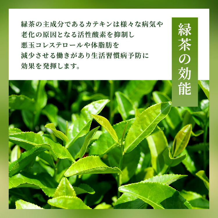 日本茶 さえみどり 10