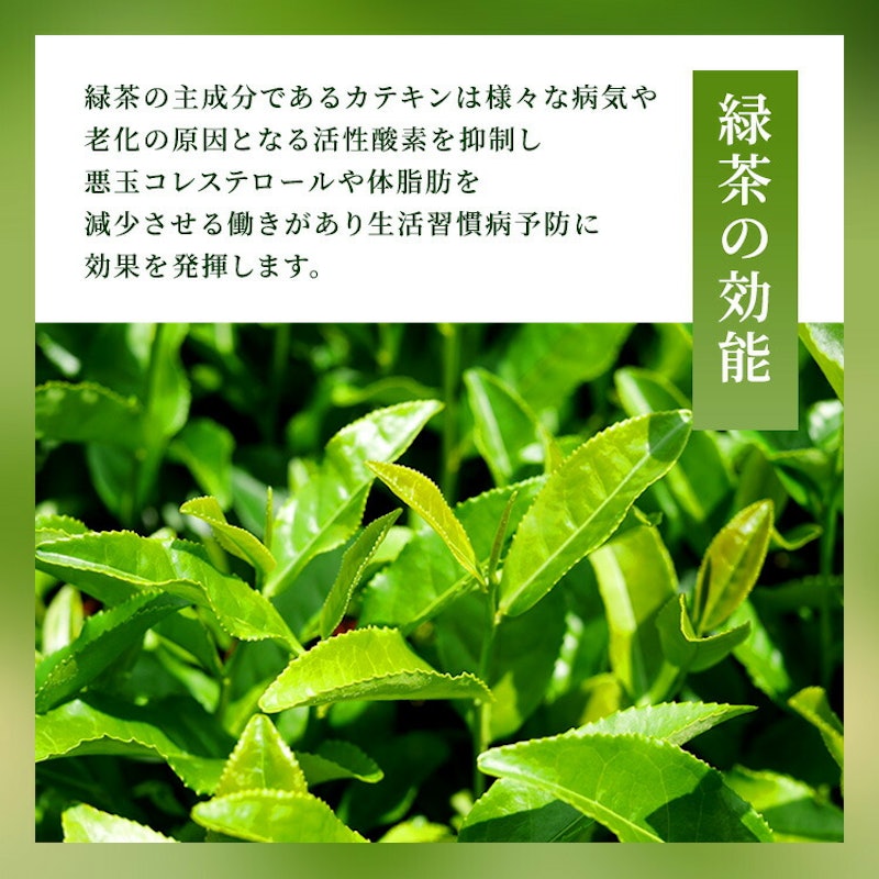 日本茶 さえみどり 10