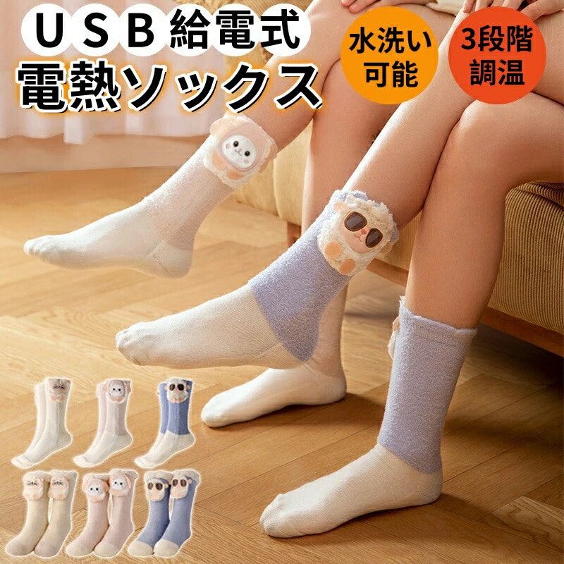 電熱ソックス 1