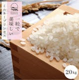 胚芽米のおすすめ人気ランキング【2026年6月】 4