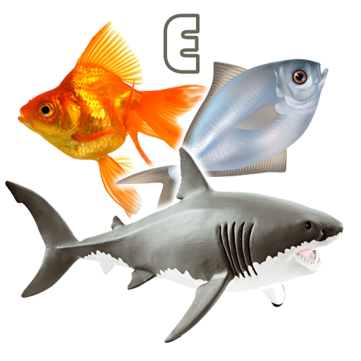 Fish Types 1