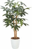 光触媒で加工された観葉植物のおすすめ人気ランキング【2026年8月】 5
