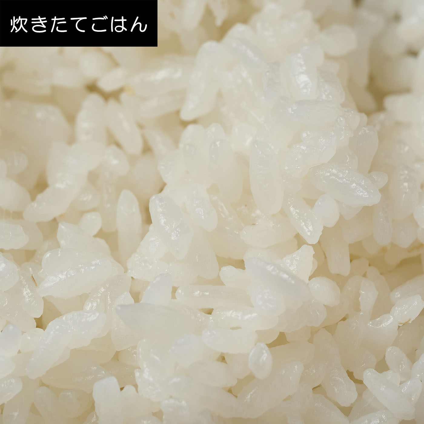 IHジャー炊飯器 10