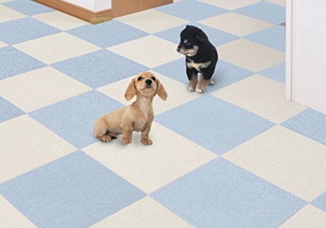 21年 犬用フローリングマットのおすすめ人気ランキング12選 Mybest 21年 犬用フローリングマットのおすすめ人気ランキング12選 Mybest