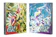ポケモン ポケモンカードゲーム コレクションファイル 1
