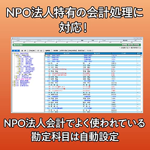 会計王22 NPO法人スタイル 6