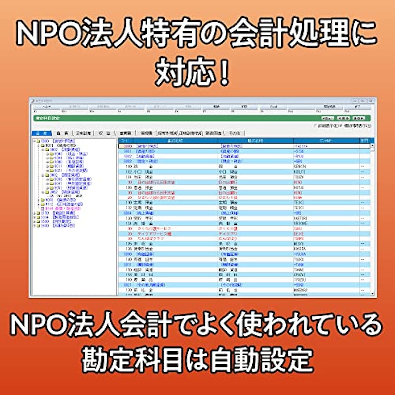 会計王22 NPO法人スタイル 6