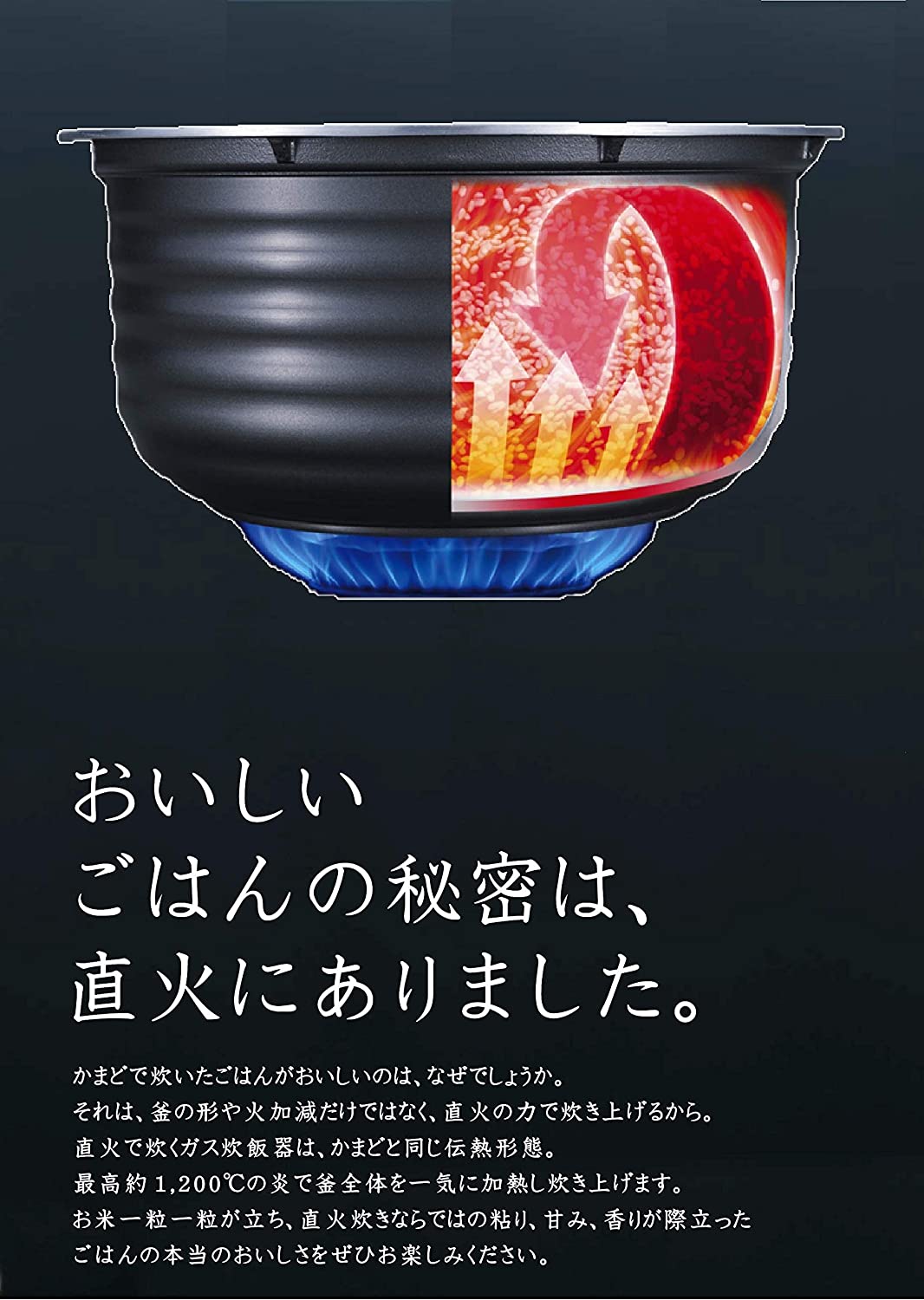 こがまる 2