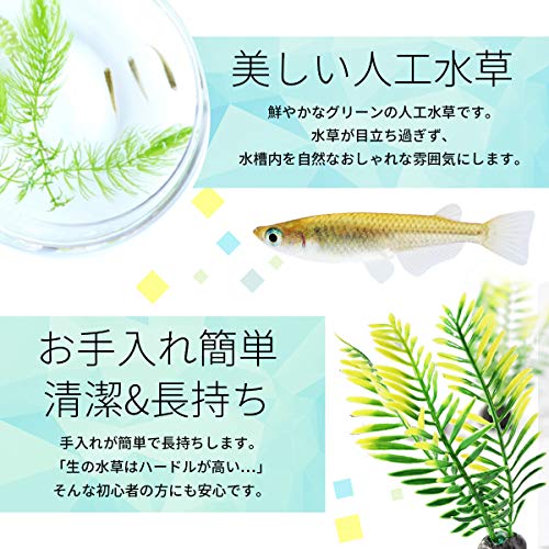 水草 人工 5本セット 3