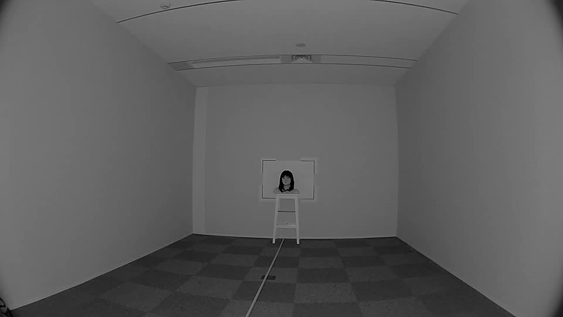 Indoor Cam 第2世代 11