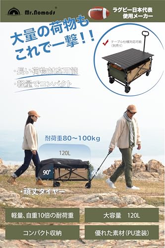キャリーワゴン 2