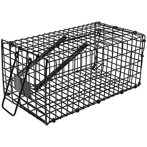 ネズミ捕獲器のおすすめ人気ランキング【2026年5月】 | マイベスト